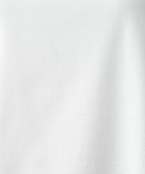 Leilian / レリアン カットソー | ストライプ切替カットソー【Leilian WHITE LABEL】 | 詳細15