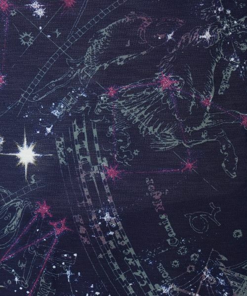 Leilian / レリアン カットソー | 星座モチーフプリントカットソー【Leilian WHITE LABEL】 | 詳細17