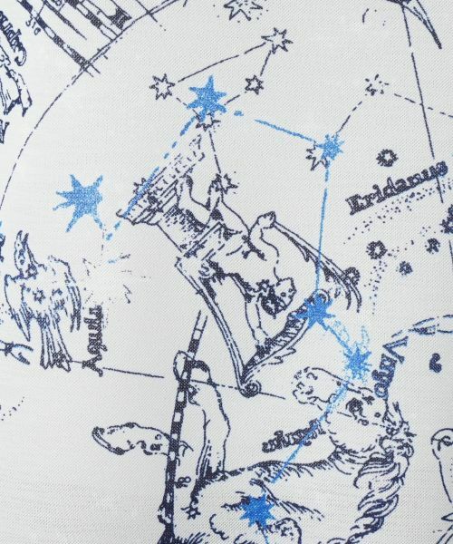 Leilian / レリアン カットソー | 星座柄プリント切替カットソー【Leilian WHITE LABEL】 | 詳細13