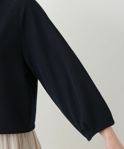 Leilian / レリアン テーラードジャケット | Vネッククロップドジャケット【Leilian WHITE LABEL】 | 詳細12