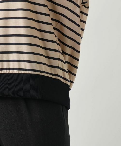 Leilian / レリアン カットソー | ボーダー切替Vネックカットソー【Leilian WHITE LABEL】 | 詳細13