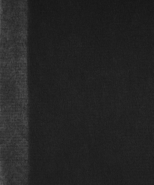 Leilian / レリアン ストッキング・タイツ・その他 | パンティストッキング | 詳細1