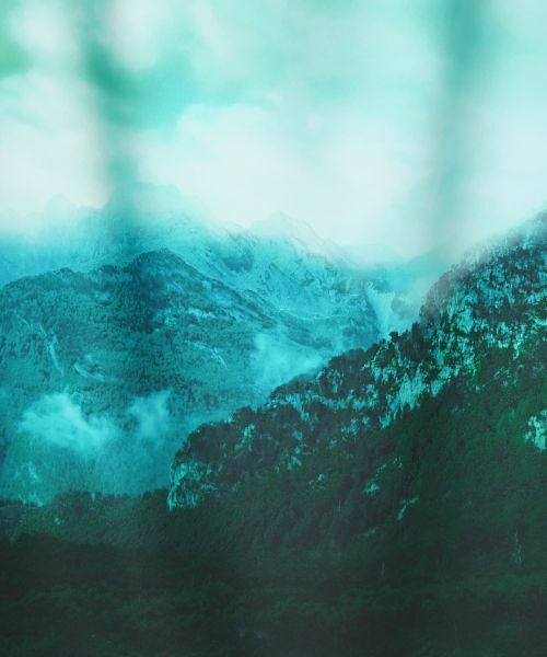 Leilian / レリアン ミニ・ひざ丈スカート | フォトプリントタイトスカート | 詳細3