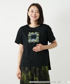 Leilian / レリアン Tシャツ | プリントTシャツ【Leilian WHITE LABEL】