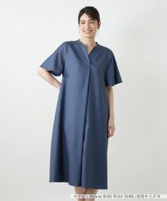 Leilian / レリアン ドレス | スキッパーフレアワンピース【Leilian WHITE LABEL】