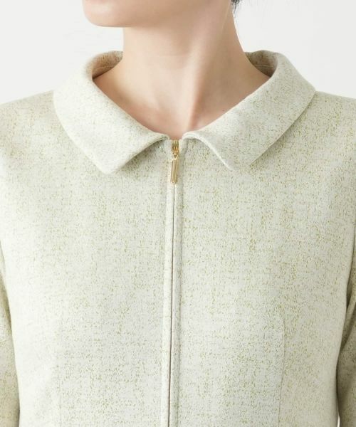 Leilian / レリアン ドレス | ジップフレアワンピース | 詳細10