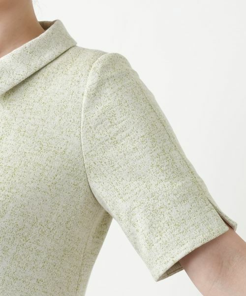 Leilian / レリアン ドレス | ジップフレアワンピース | 詳細13