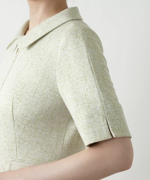 Leilian / レリアン ドレス | ジップフレアワンピース | 詳細14