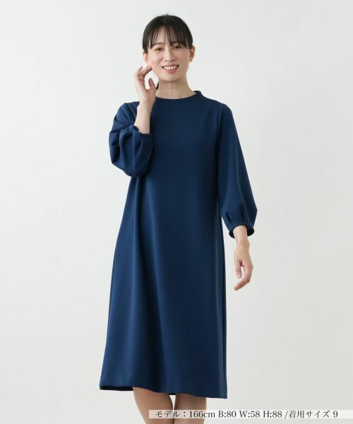 Leilian / レリアン ドレス | フレアワンピース【Leilian WHITE LABEL】(ネイビー系)