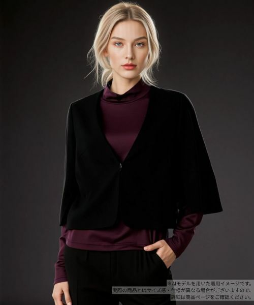 Leilian/レリアン ノーカラーVネックジャケット ブラック 9(M)