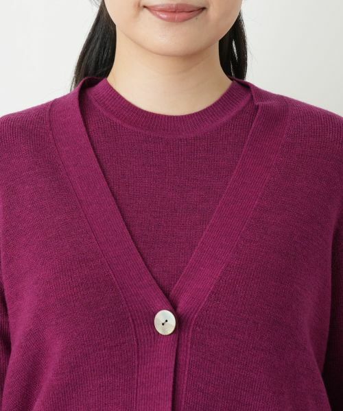 Leilian / レリアン カーディガン・ボレロ | Vネックカーディガン | 詳細13