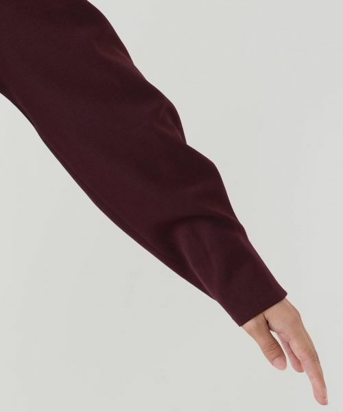 Leilian / レリアン ドレス | バンドカラーワンピース | 詳細18