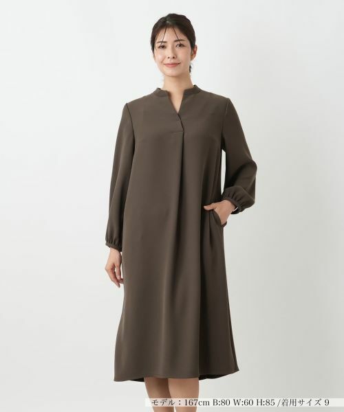 Leilian/レリアン ハイネックワンピース ブラウン系 11(L) Leilian/レリアン ハイネックワンピース ブラウン系 11(L)