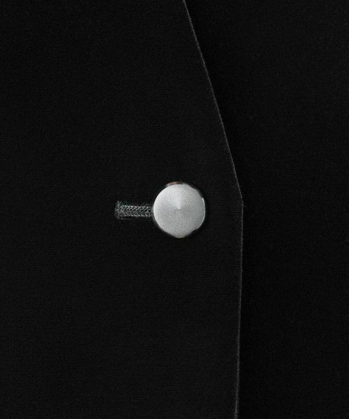 Leilian / レリアン テーラードジャケット | ベルベットジャケット【セレモニー】 | 詳細12