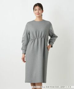 Leilian / レリアン ドレス | 洗えるダンボールニット袖異素材MIXワンピース【25年10月カタログ】