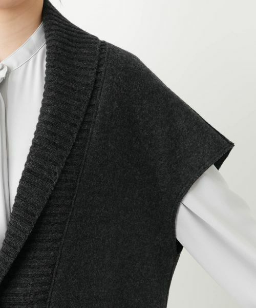 Leilian / レリアン テーラードジャケット | ロングジレ【25年10月カタログ】 | 詳細9