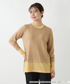 Leilian / レリアン ニット・セーター | ボーダー切替クルーネックニット【Leilian WHITE LABEL】