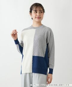 Leilian / レリアン ニット・セーター | カラーブロッククルーネックニット