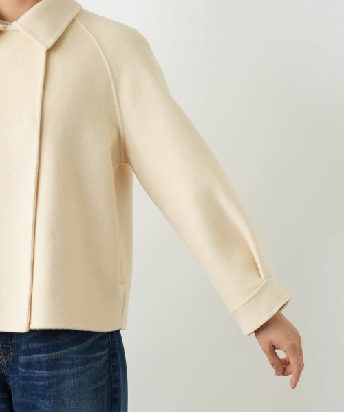 Leilian / レリアン テーラードジャケット | ステンカラーショートジャケット【25年11月カタログ】 | 詳細20