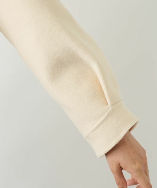 Leilian / レリアン テーラードジャケット | ステンカラーショートジャケット【25年11月カタログ】 | 詳細21