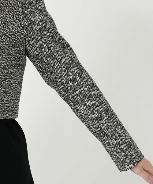 Leilian / レリアン テーラードジャケット | 襟付きショートジャケット | 詳細11