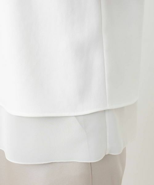 Leilian / レリアン カットソー | シフォン袖カットソー【26年3月カタログ】 | 詳細17