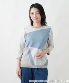 Leilian / レリアン ニット・セーター | 洗えるカラーブロッククルーネックニット【Leilian WHITE LABEL】