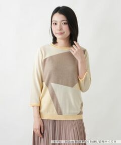 Leilian / レリアン ニット・セーター | 洗えるカラーブロッククルーネックニット【Leilian WHITE LABEL】