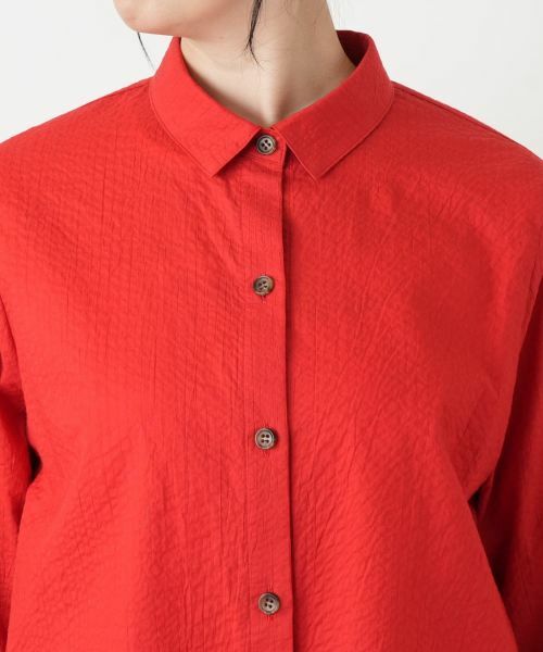 Leilian / レリアン シャツ・ブラウス | 洗えるコットンブラウス【2026_4月カタログ】 | 詳細10