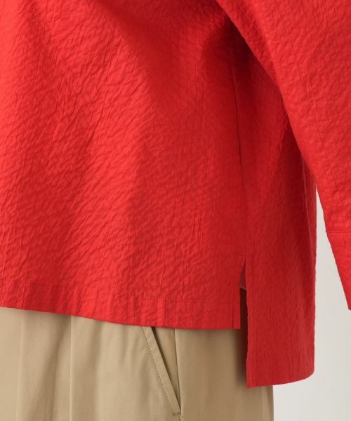 Leilian / レリアン シャツ・ブラウス | 洗えるコットンブラウス【2026_4月カタログ】 | 詳細13