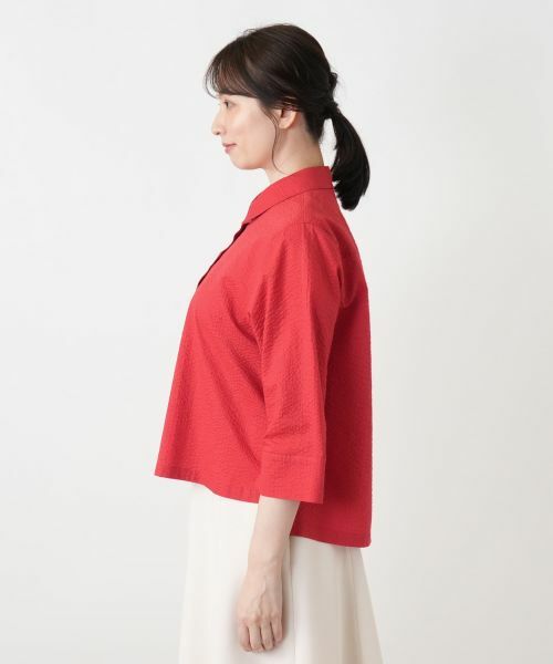 Leilian / レリアン シャツ・ブラウス | 洗えるコットンブラウス【2026_4月カタログ】 | 詳細23