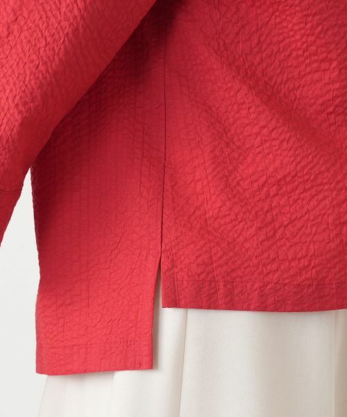 Leilian / レリアン シャツ・ブラウス | 洗えるコットンブラウス【2026_4月カタログ】 | 詳細28