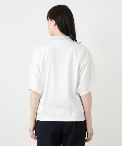 Leilian / レリアン ポロシャツ | ラメ襟付きポロシャツ | 詳細9