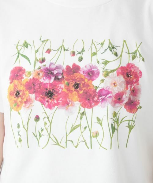 Leilian / レリアン Tシャツ | フラワープリントTシャツ【2026年5月カタログ】 | 詳細28