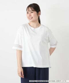Leilian / レリアン カットソー | シアー切替カットソー【Leilian WHITE LABEL】