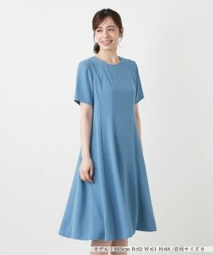 Leilian / レリアン ドレス | 洗えるパネル切り替えフレアワンピース【Leilian WHITE LABEL】