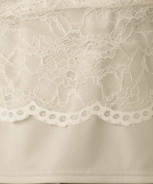 Leilian / レリアン カットソー | 総レースカットソー【Leilian WHITE LABEL】 | 詳細16