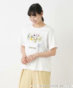 半袖Ｔシャツ