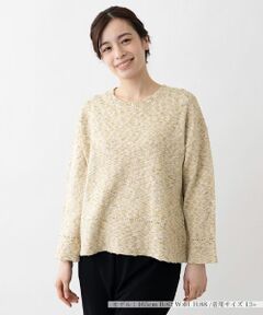 Leilian PLUS HOUSE / レリアンプラスハウス ニット・セーター | コットンクルーネックニットプルオーバー