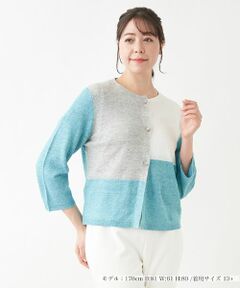 Leilian PLUS HOUSE / レリアンプラスハウス カーディガン・ボレロ | カラーブロックカーディガン【HAND】