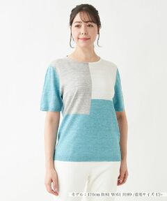 Leilian PLUS HOUSE / レリアンプラスハウス ニット・セーター | カラーブロックニット【HAND】