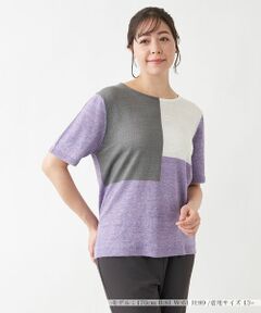 Leilian PLUS HOUSE / レリアンプラスハウス ニット・セーター | カラーブロックニット【HAND】