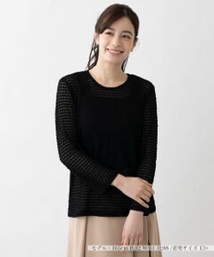 Leilian PLUS HOUSE / レリアンプラスハウス カットソー | クルーネックプルオーバー【プラス企画】