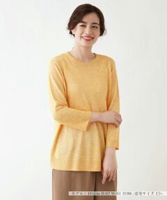 Leilian PLUS HOUSE / レリアンプラスハウス ニット・セーター | クルーネックニットプルオーバー