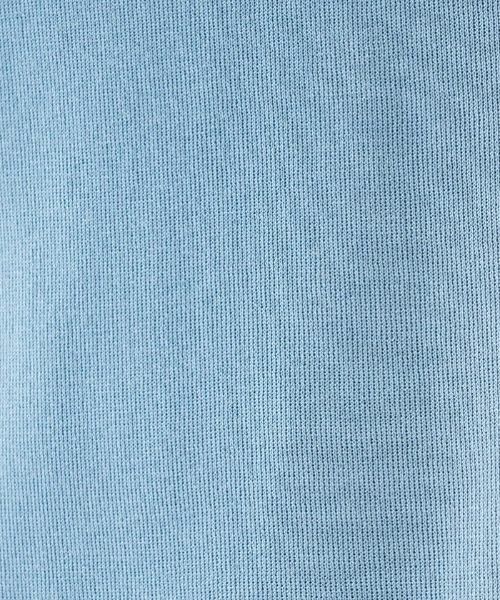 Leilian PLUS HOUSE / レリアンプラスハウス ニット・セーター | ハイネックフレンチスリーブニット | 詳細22