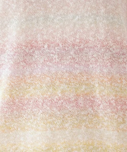 Leilian PLUS HOUSE / レリアンプラスハウス ニット・セーター | カラーボーダーニット【Leilian the week】 | 詳細10