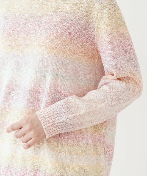 Leilian PLUS HOUSE / レリアンプラスハウス ニット・セーター | カラーボーダーニット【Leilian the week】 | 詳細8