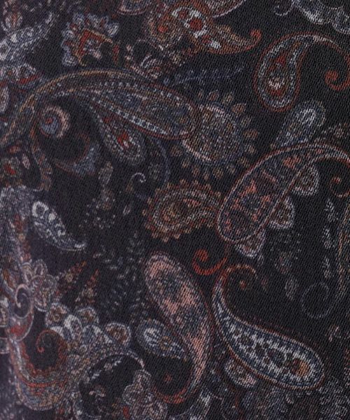 Leilian PLUS HOUSE / レリアンプラスハウス カットソー | シアーペイズリープリントハイネックカットソー【パワーネット】 | 詳細9