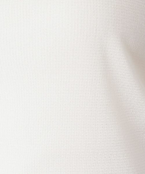 Leilian PLUS HOUSE / レリアンプラスハウス カットソー | シアーハイネックトップス | 詳細10