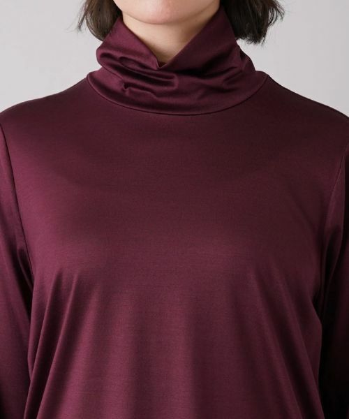 Leilian PLUS HOUSE / レリアンプラスハウス カットソー | 【店舗人気】シルク混ストレッチハイネックカットソー | 詳細10